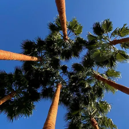 El Botanico De 4* Sagra