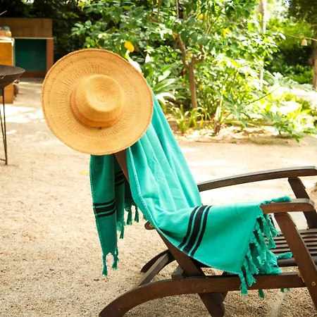 El Botanico De 4* Sagra