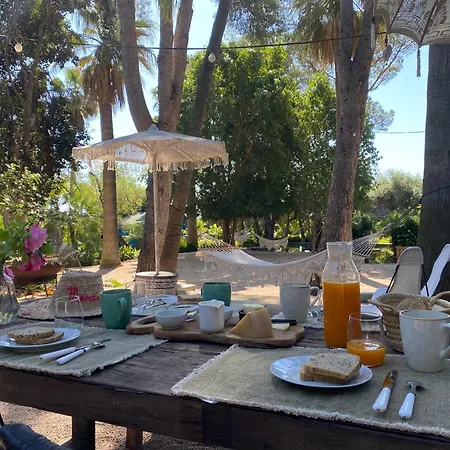 El Botanico De Sagra