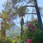 Affittacamere El Botanico De 4*