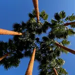 El Botanico De 4* Sagra