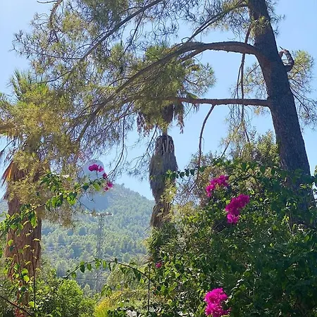Konukevi El Botanico De *