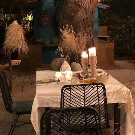 El Botanico De * Sagra