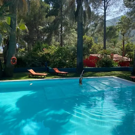 El Botanico De בית הארחה