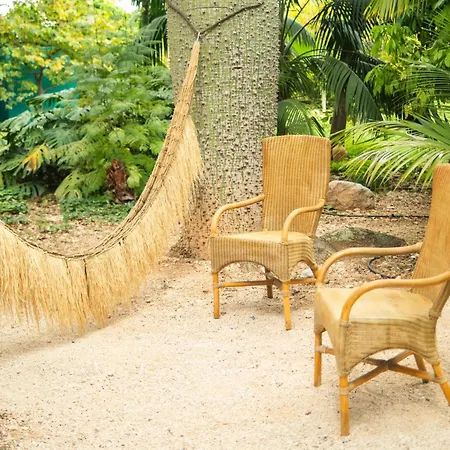 El Botanico De Sagra