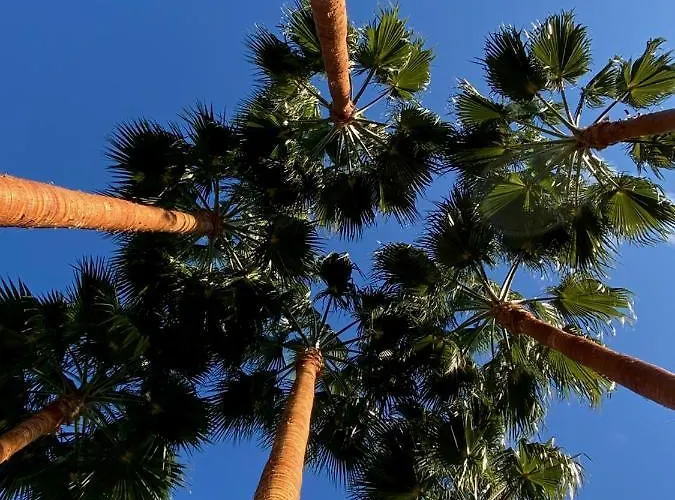 El Botanico De 4* Sagra