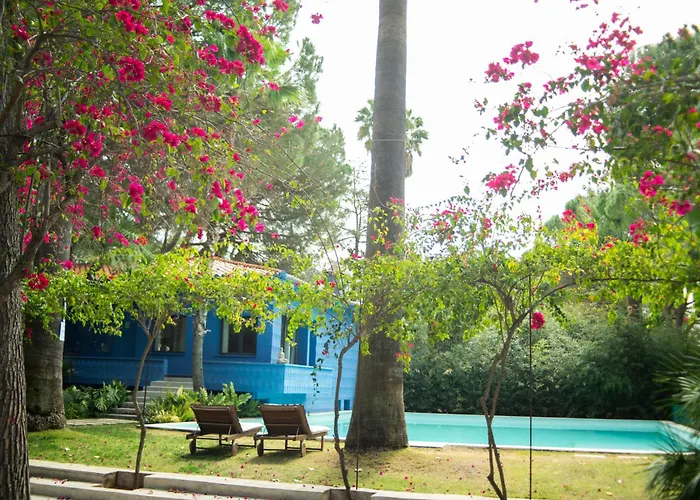 게스트하우스 El Botanico De 4*