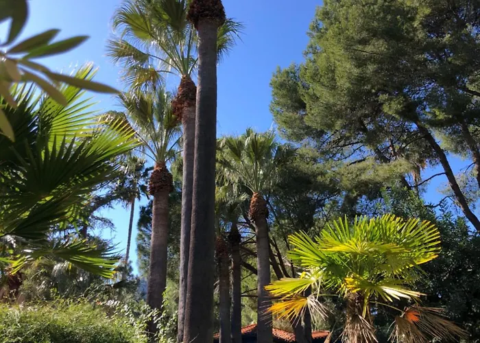 Pensjonat El Botanico De 4*