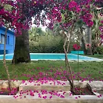 招待所 El Botanico De 4*