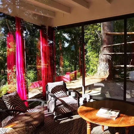 Guest house El Botanico De
