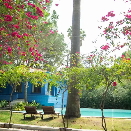 Guest house El Botanico De *