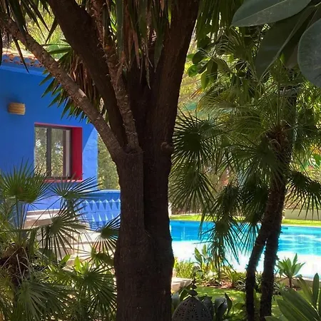 El Botanico De *