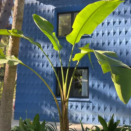 El Botanico De Guest house