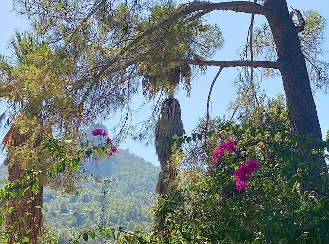 Gæstehus El Botanico De 4*